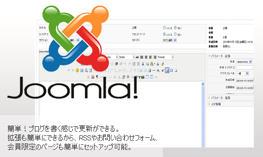 CMSサイト構築